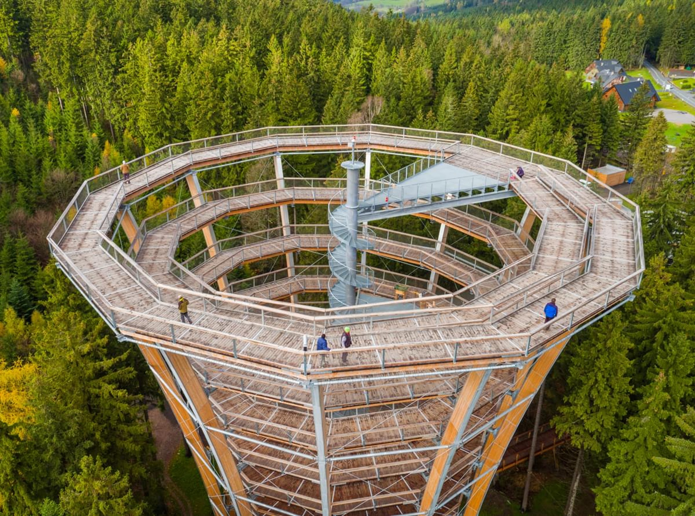 Treetop walkway